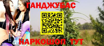 гидра Камышлов